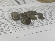 Внешняя проверка бюджетной отчетности за 2024 год (ЭАМ)  
